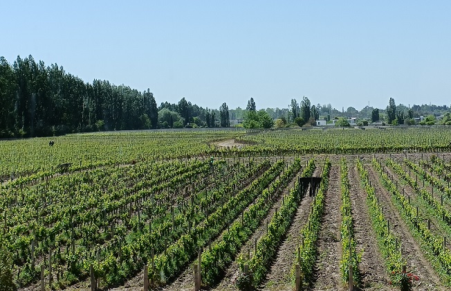 Mendoza - Villa Alicia vyd2